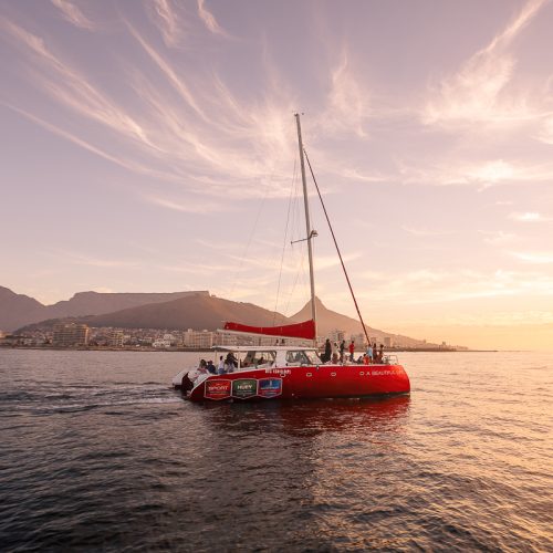 Waterfront Boat Tours
