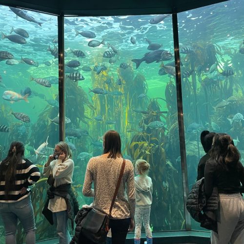 Two Oceans Aquarium