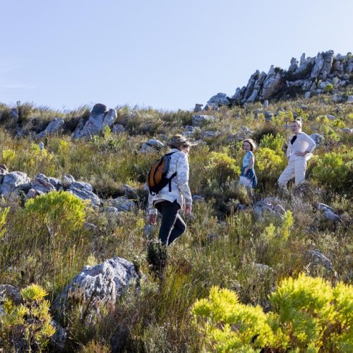 Meridien Hiking Club / Ramblers Hiking Club